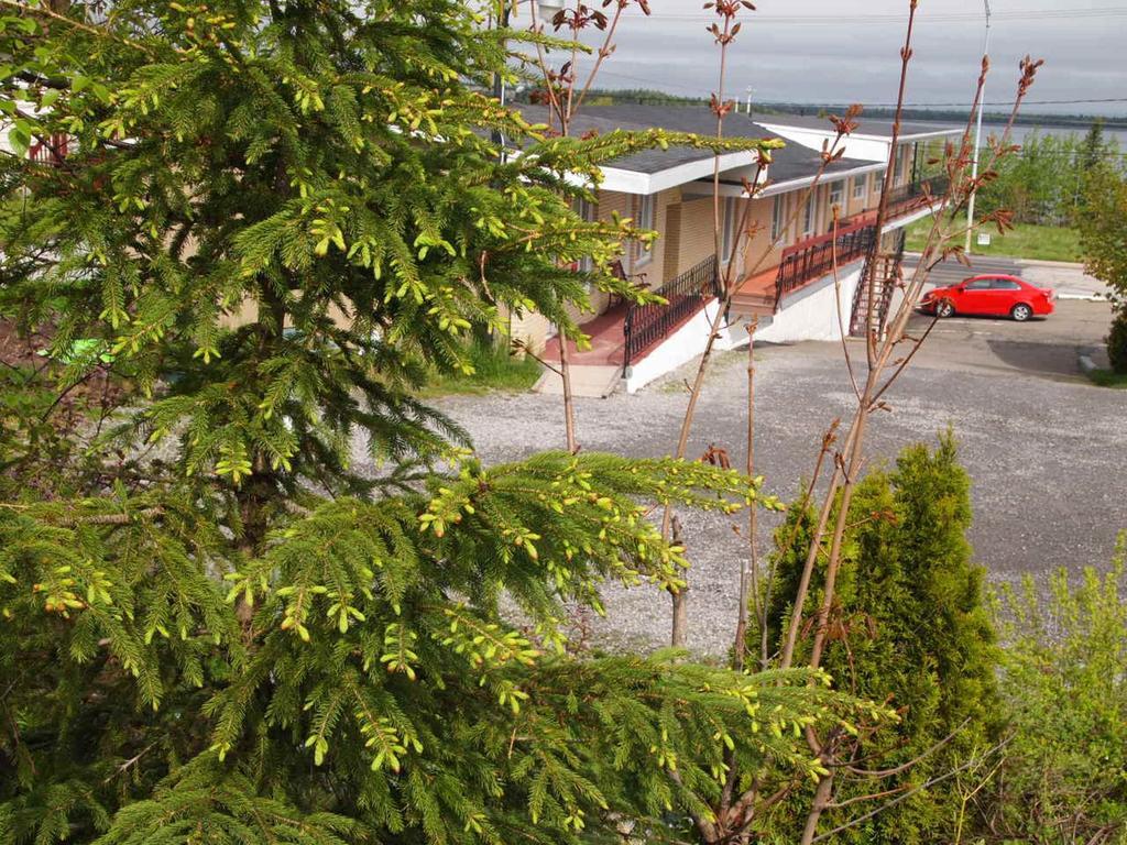 Lyse Motel 2*